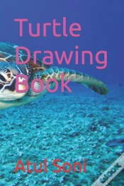 Capa do artigo Turtle Drawing Book
