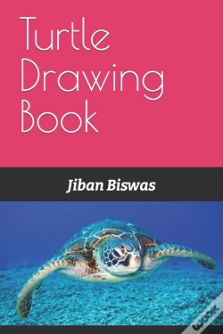 Capa do artigo Turtle Drawing Book