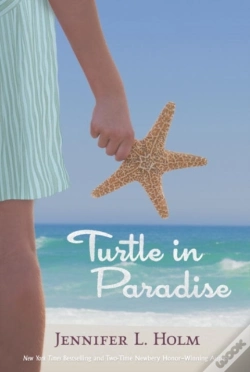 Capa do artigo Turtle In Paradise