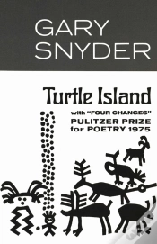 Capa do artigo Turtle Island