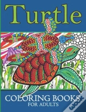 Capa do artigo Turtle