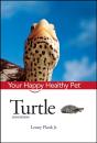 Turtle - Preview