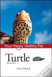 Capa do artigo Turtle