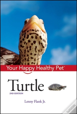 Capa do artigo Turtle