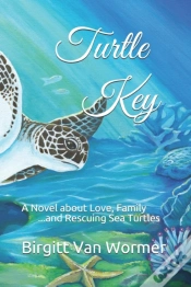 Capa do artigo Turtle Key