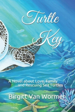 Capa do artigo Turtle Key