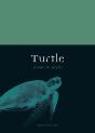 Turtle - Preview