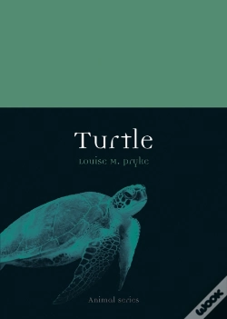 Capa do artigo Turtle