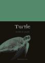 Turtle - Preview