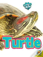 Capa do artigo Turtle