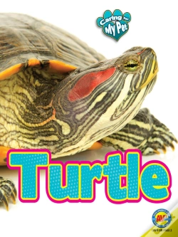 Capa do artigo Turtle