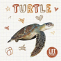 Turtle - Preview