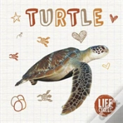 Capa do artigo Turtle