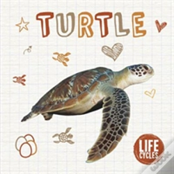 Capa do artigo Turtle
