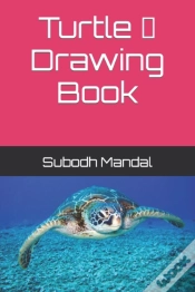 Capa do artigo Turtle