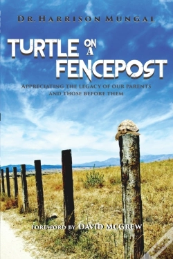 Capa do artigo Turtle On A Fence Post