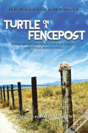 Capa do artigo Turtle On A Fence Post