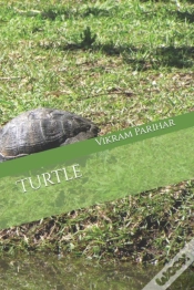 Capa do artigo Turtle