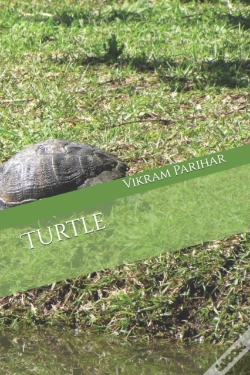 Capa do artigo Turtle