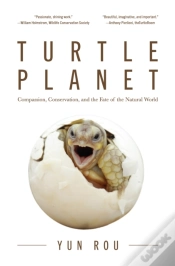 Capa do artigo Turtle Planet