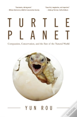 Capa do artigo Turtle Planet