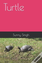 Capa do artigo Turtle