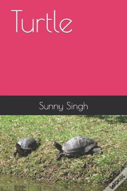 Capa do artigo Turtle