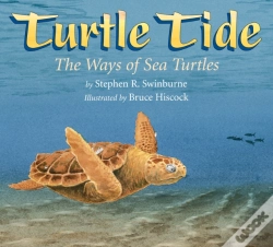 Capa do artigo Turtle Tide