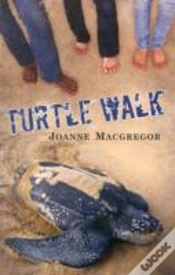 Capa do artigo Turtle Walk