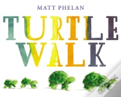 Capa do artigo Turtle Walk