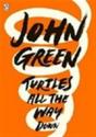 Turtles All The Way Down - Preview