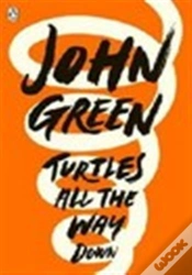 Capa do artigo Turtles All The Way Down