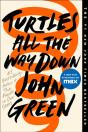 Turtles All The Way Down - Preview