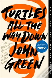 Capa do artigo Turtles All The Way Down