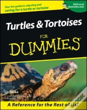 Capa do artigo Turtles And Tortoises For Dummies