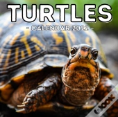 Turtles Calendar 2022