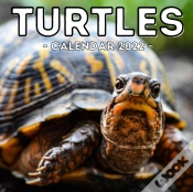 Capa do artigo Turtles Calendar 2022