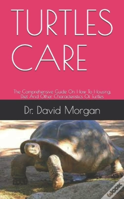 Capa do artigo Turtles Care