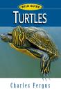 Turtles - Preview