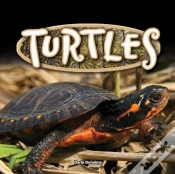 Capa do artigo Turtles