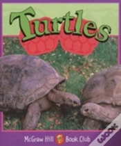 Capa do artigo Turtles