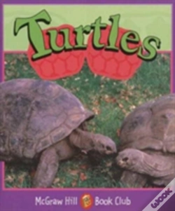 Capa do artigo Turtles