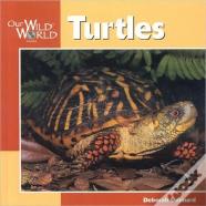 Turtles