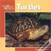 Capa do artigo Turtles