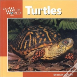 Capa do artigo Turtles