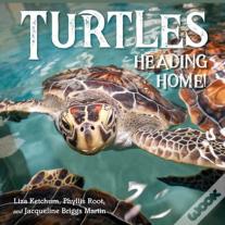 Turtles Heading Home!