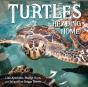 Turtles Heading Home! - Preview