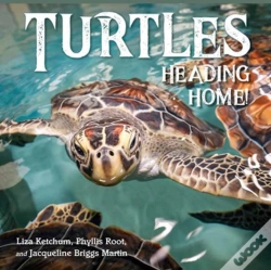 Capa do artigo Turtles Heading Home!
