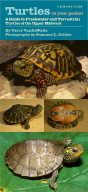 Turtles In Your Pocket - Preview