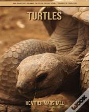Turtles